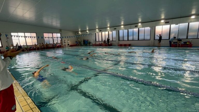 「2026年2月22日（日）バーチャルロットネスト日本（埼玉）会場」ご報告